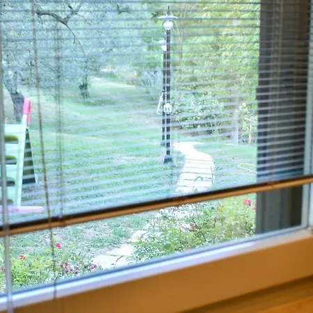 L'arte Del * 阿米里亚