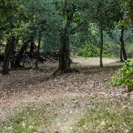 公寓 L'arte Del 阿米里亚