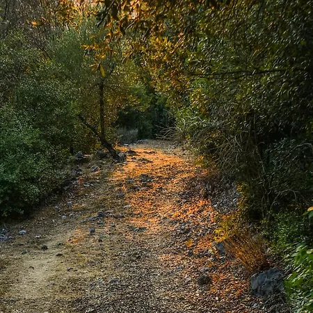 L'arte Del 아파트 *