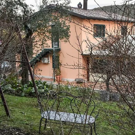 L'arte Del Amelia